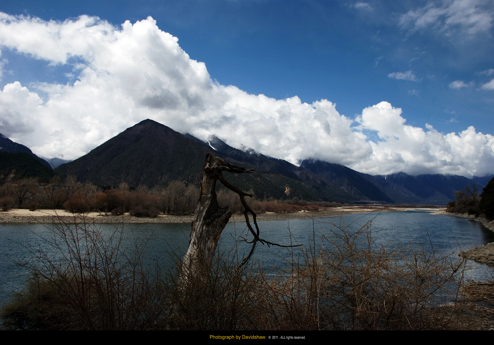 DSC_1168.jpg
